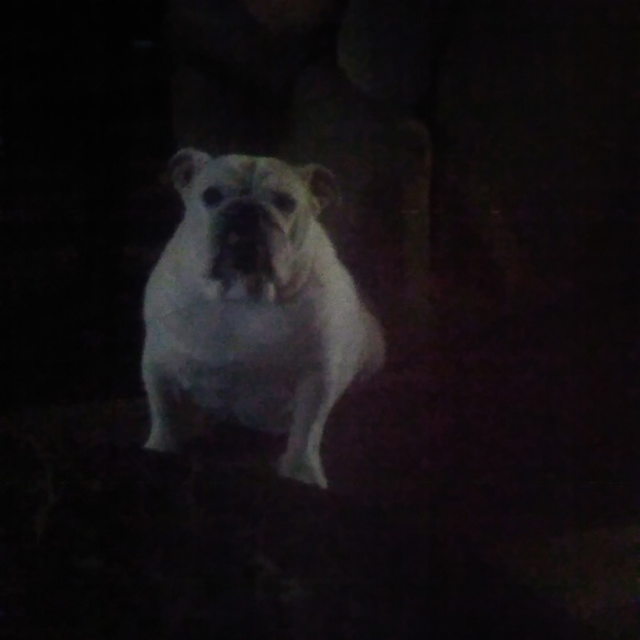 Meet your Posher, Lisa - Picture 1 of 1